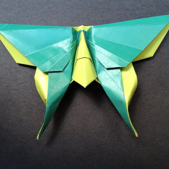 Meet your Posher, Sandra - Picture 1 of 1